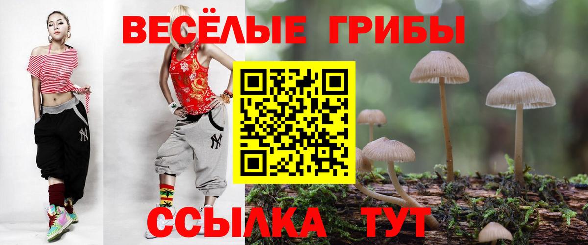 Галлюциногенные грибы Cubensis Кудымкар